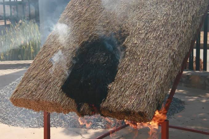 WhatsApp Image 2023-02-15 at 10.06.39s